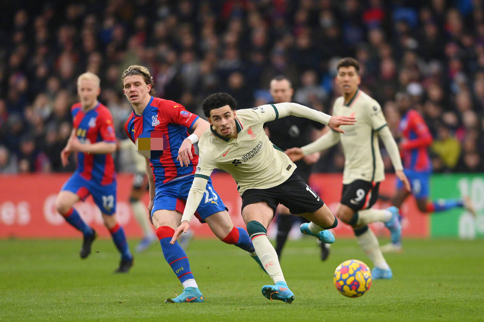 望继续留队 望继续留队